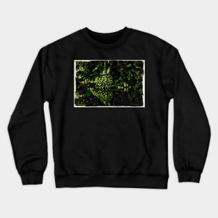 Mirror image pond / Maléa is looking for the goblin - children's book WolfArt Crewneck Sweatshirt